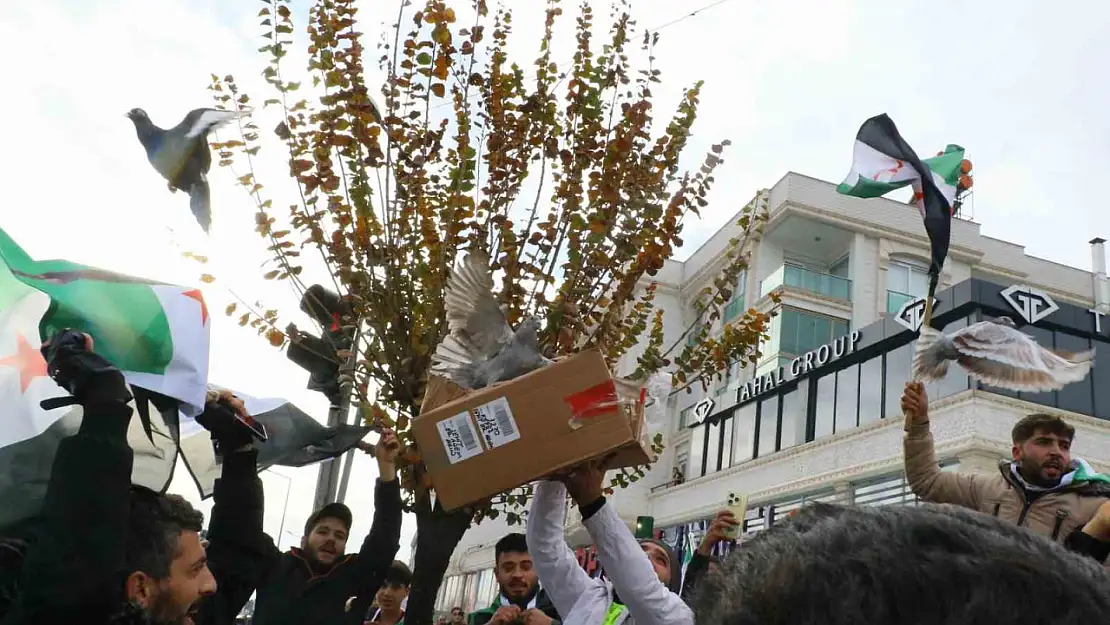 Antalya'daki Suriyeliler rejimin yıkılmasını gökyüzüne beyaz güvercin bırakarak kutladı