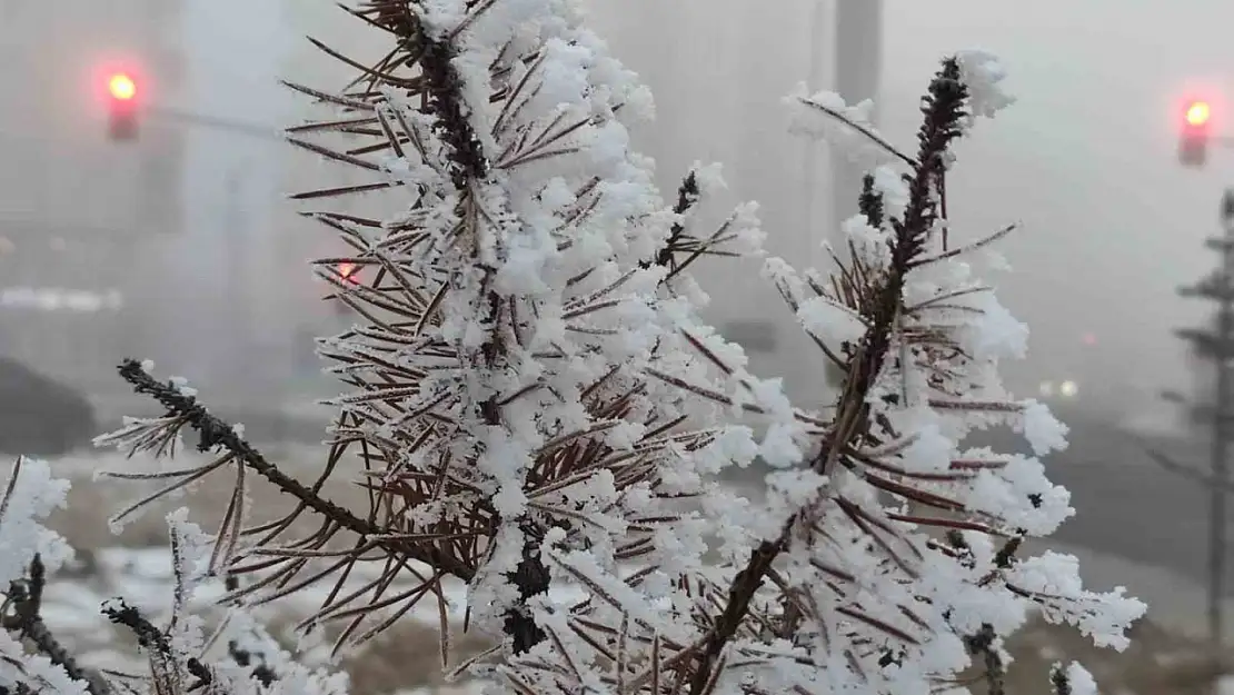 Ardahan'da soğuk hava ve sis hayatı olumsuz etkiliyor