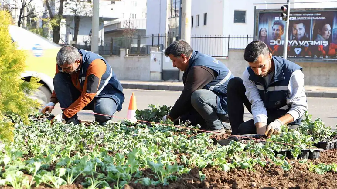 Diyarbakır 1 milyon çiçekle renkleniyor