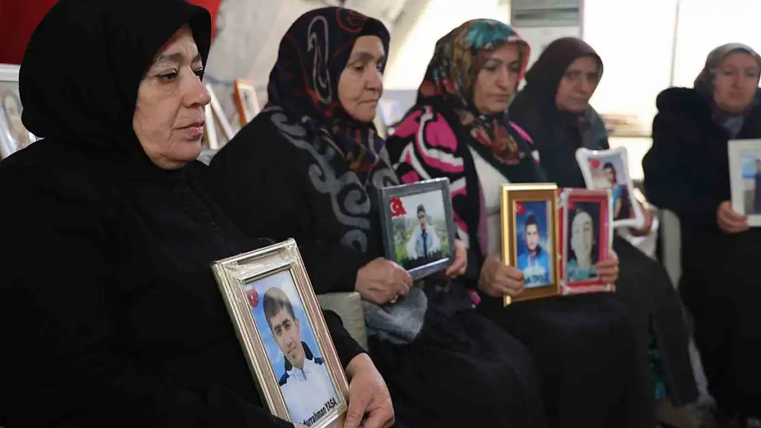 Diyarbakır annelerinden Mevlüde Üçdağ: 'Suriye Esad'dan kurtuldu, siz de PKK'dan kurtulun gelin'