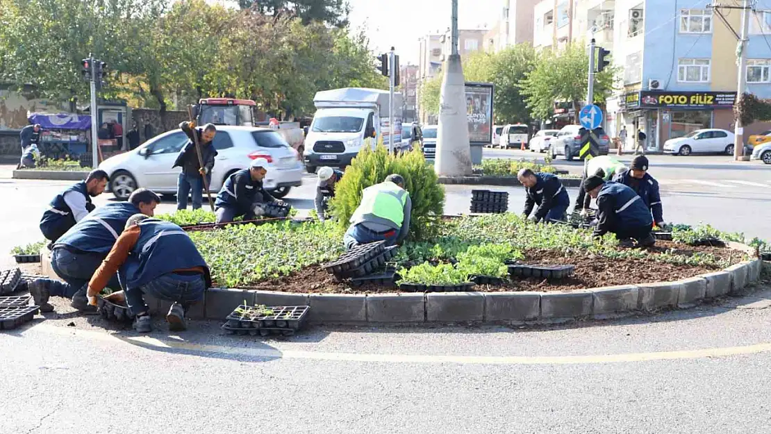 Diyarbakır'da 1 milyon 152 bin bitki dikildi