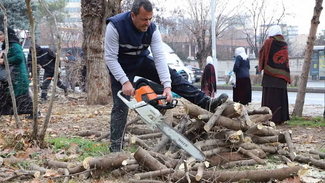 Diyarbakır'da 24 bin 833 ağaç budandı