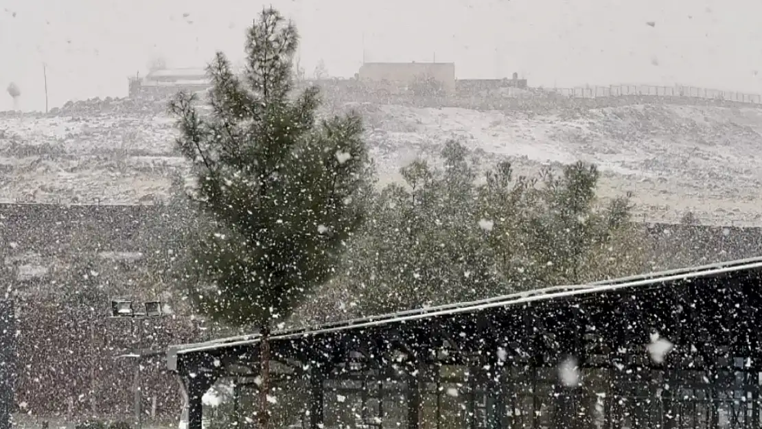 Diyarbakır'da lapa lapa kar yağışı