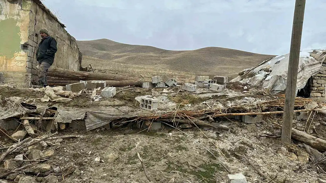 Muş'ta ahır çöktü: 30 küçükbaş hayvan telef oldu